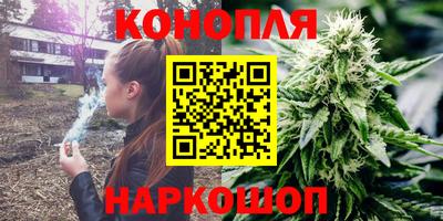 стафф Можга