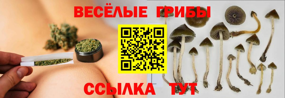 Галлюциногенные грибы прущие грибы Уварово